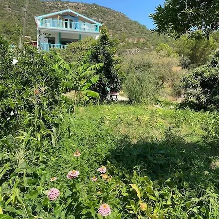 Butik Mor Salkim Evleri Datca