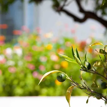 Butik Mor Salkim Evleri Holiday home