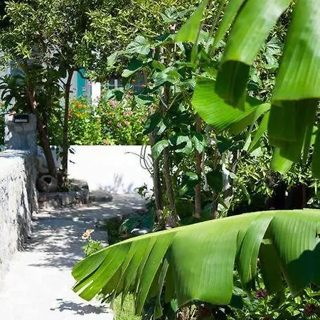 Butik Mor Salkim Evleri