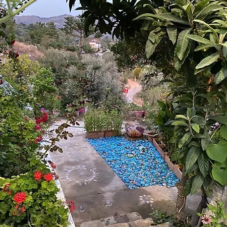 Butik Mor Salkim Evleri * Datca