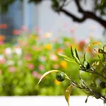 Butik Mor Salkim Evleri Holiday home