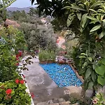 Butik Mor Salkim Evleri * Datca