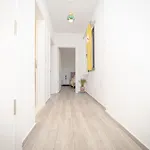 Butik Mor Salkim Evleri * Datca